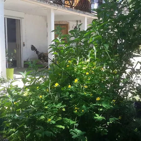 50m2 Rez-de-jardin Lejlighed *